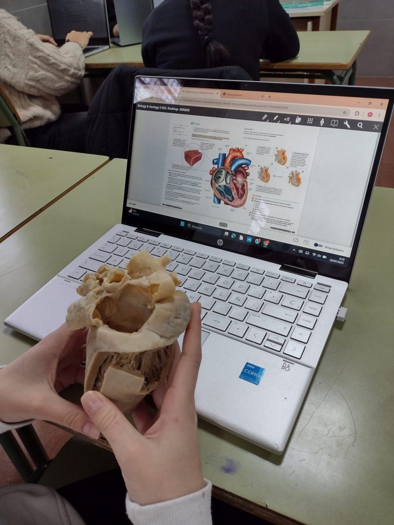 CardioHealth activity combining a real anatomical specimen with digital resources.
