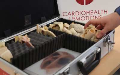 OrganKits for Secondary Schools